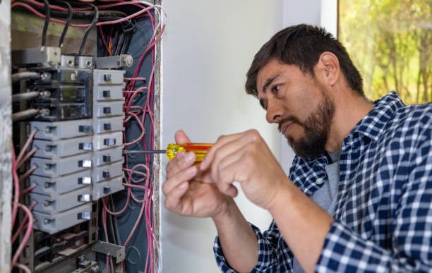 Best Electrician for Home Renovation  in Vaeboro, NC